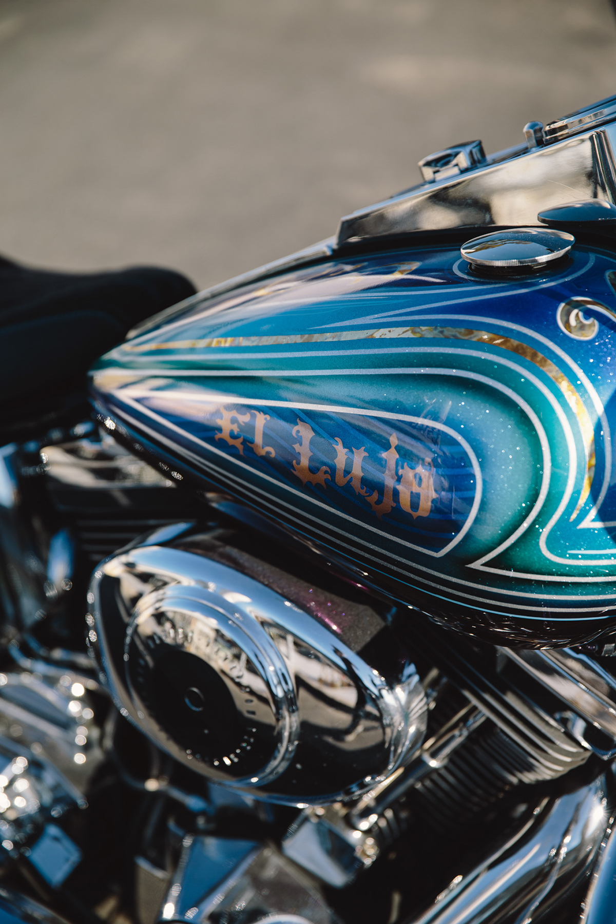 Harley-Davidson_Heritage_Softail_lowrider20160721 (9)