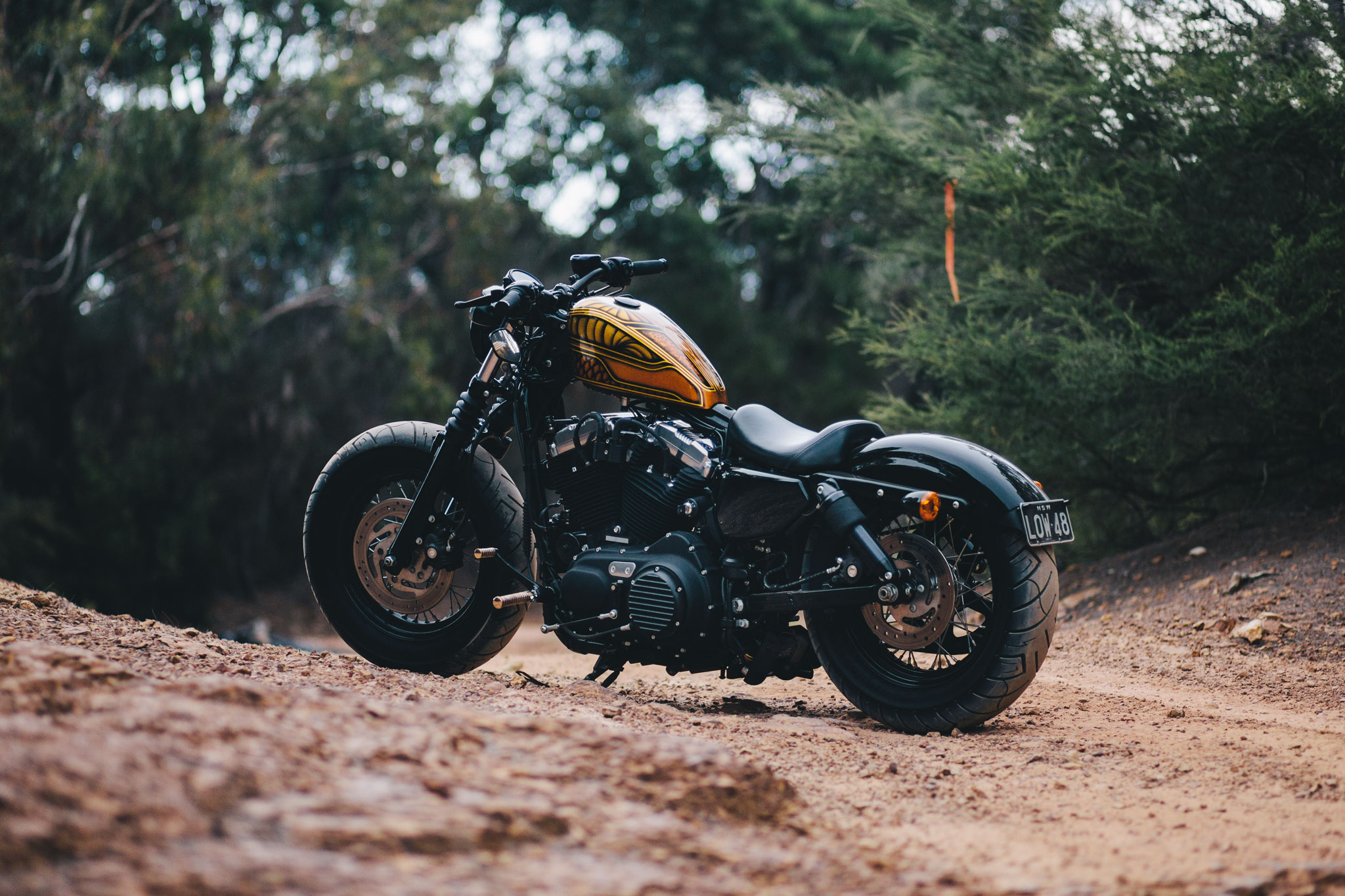 El Trineo Chris  Harley Davidson 48 Throttle Roll